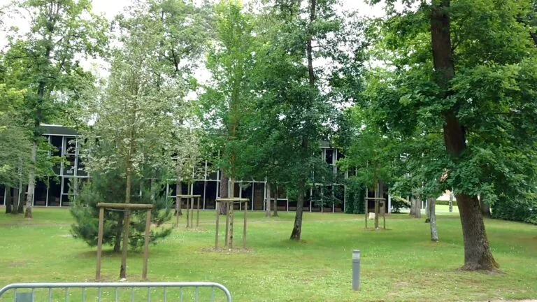 A lush green park with trees and a modern building in the background