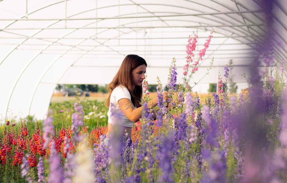 flower-seasons-1-1