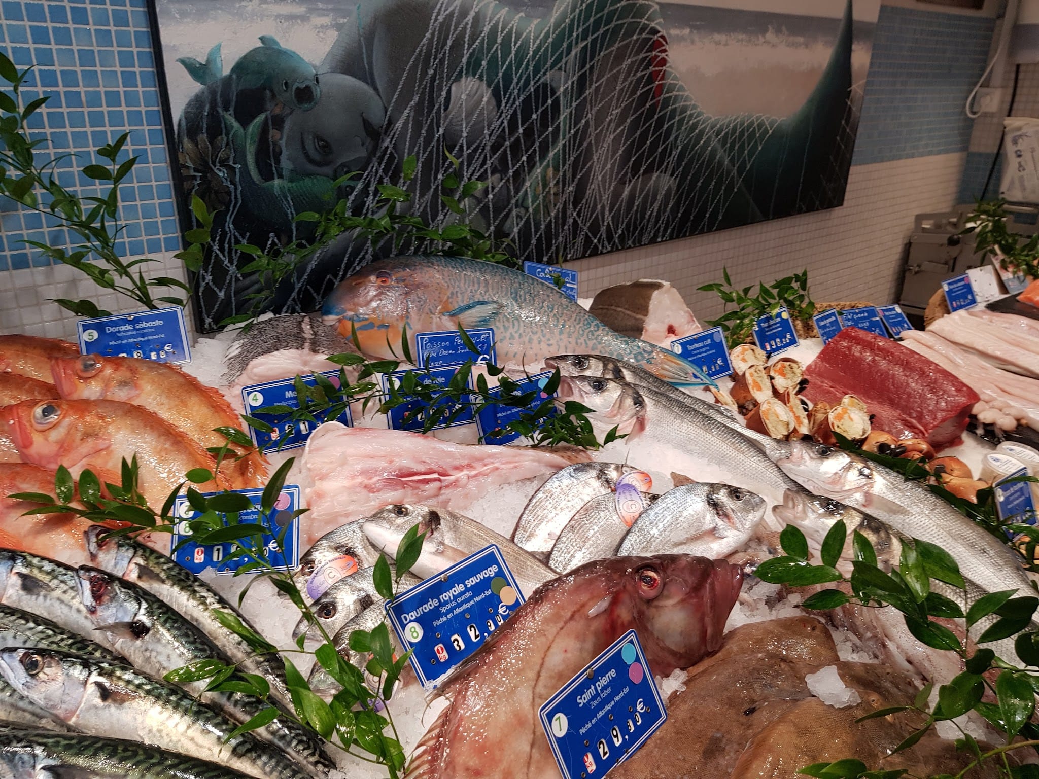 coastal fishmonger's-1
