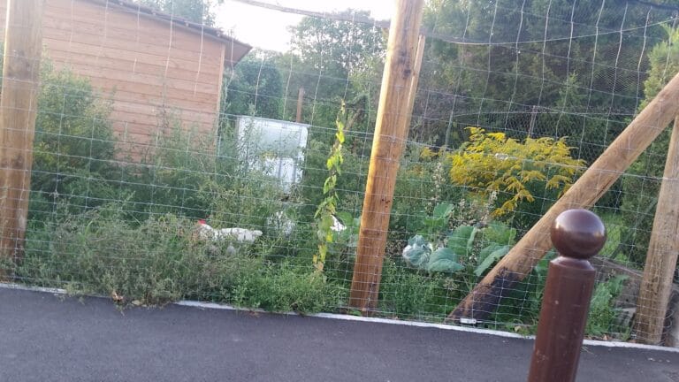 Jardin potager avec clôture grillagée et végétation luxuriante au Complexe Sportif de la Vallée