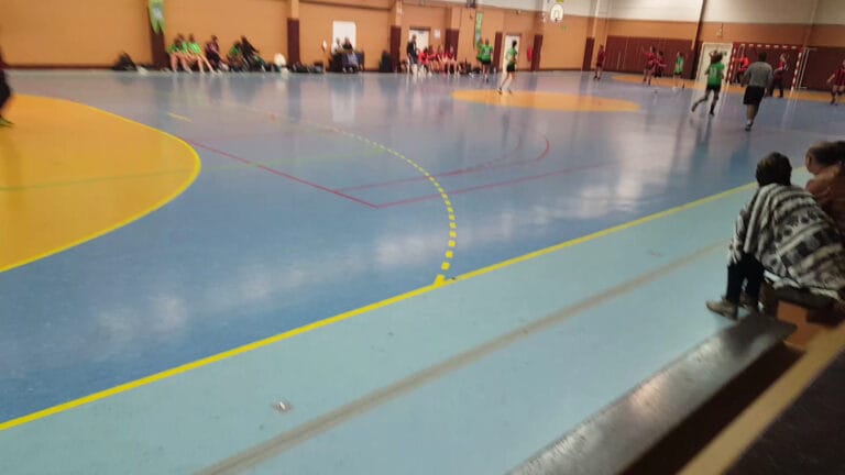 Match de handball féminin en salle au Complexe Sportif de la Vallée, joueuses en maillots verts et rouges