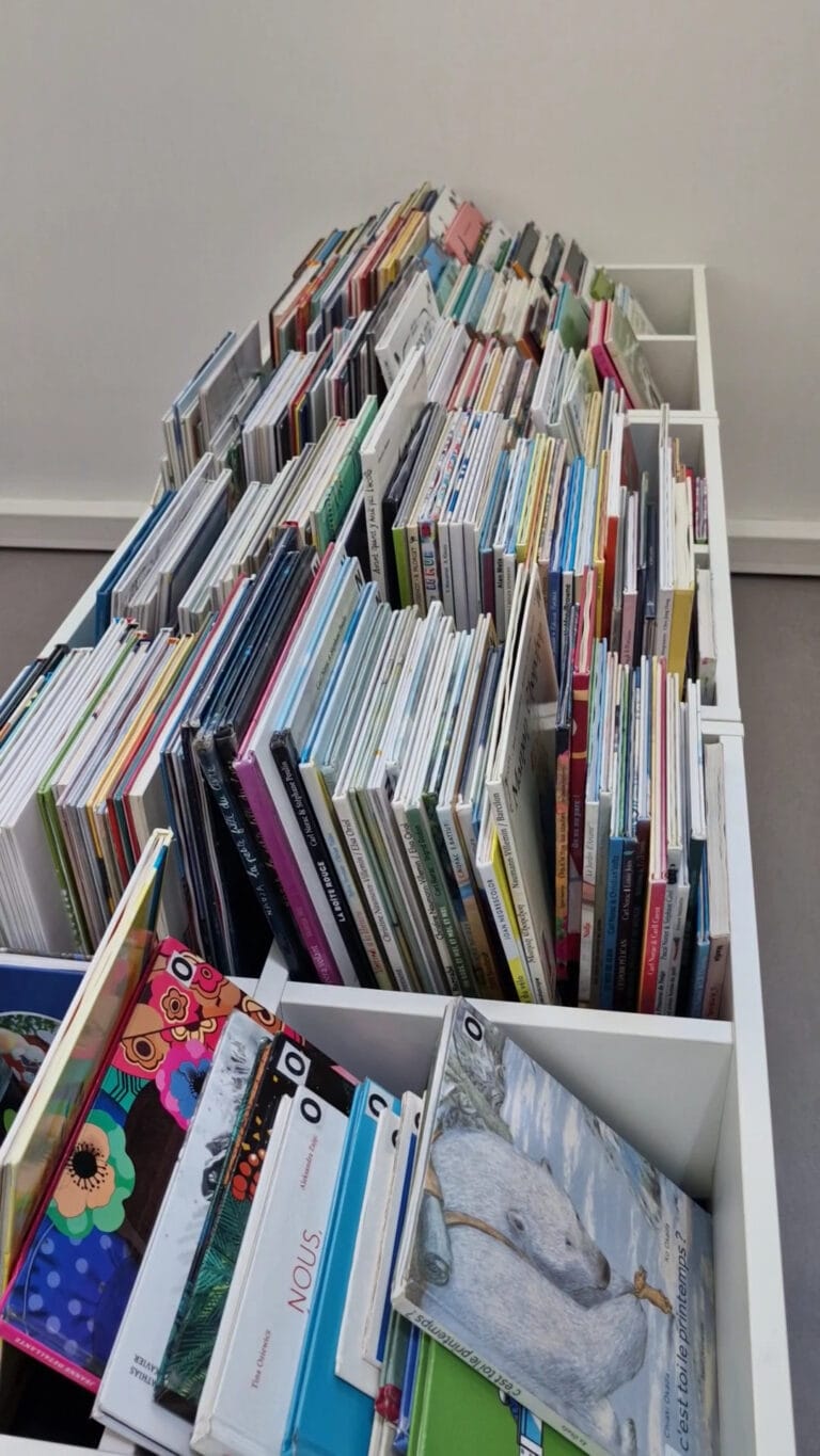 Children's books on a sloping shelf at the Les Sources Vives multimedia library in Avon, colourful albums in abundance