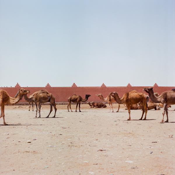 Exposition photographique Before it's gone de M'hammed Kilito sur le parvis de la gare de Fontainebleau-Avon