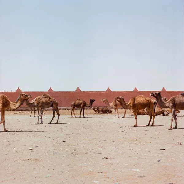 Exposition photographique Before it's gone de M'hammed Kilito sur le parvis de la gare de Fontainebleau-Avon