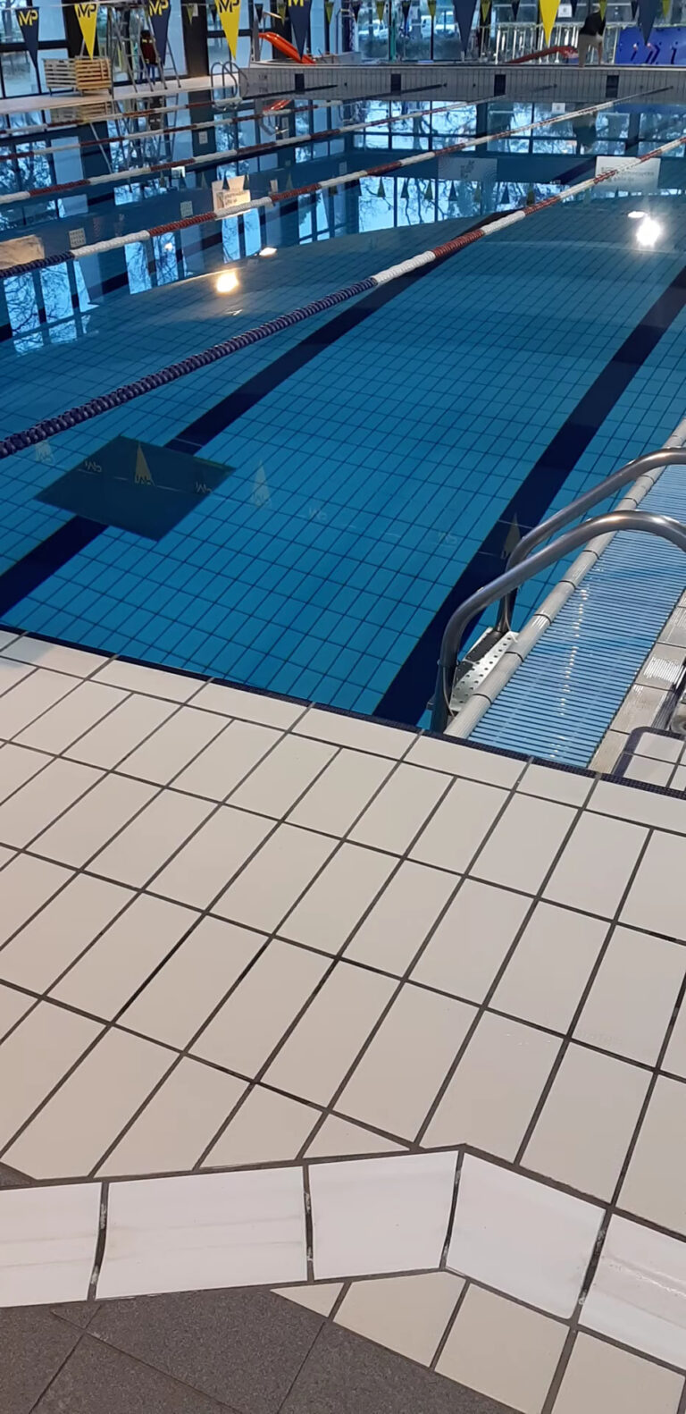Piscine de la Faisanderie (consulter le site internet pour les horaires en direct) - Photo 3