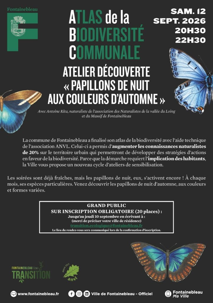 Affiche de l'atelier découverte des papillons de nuit d'automne à Fontainebleau le 12 septembre 2026