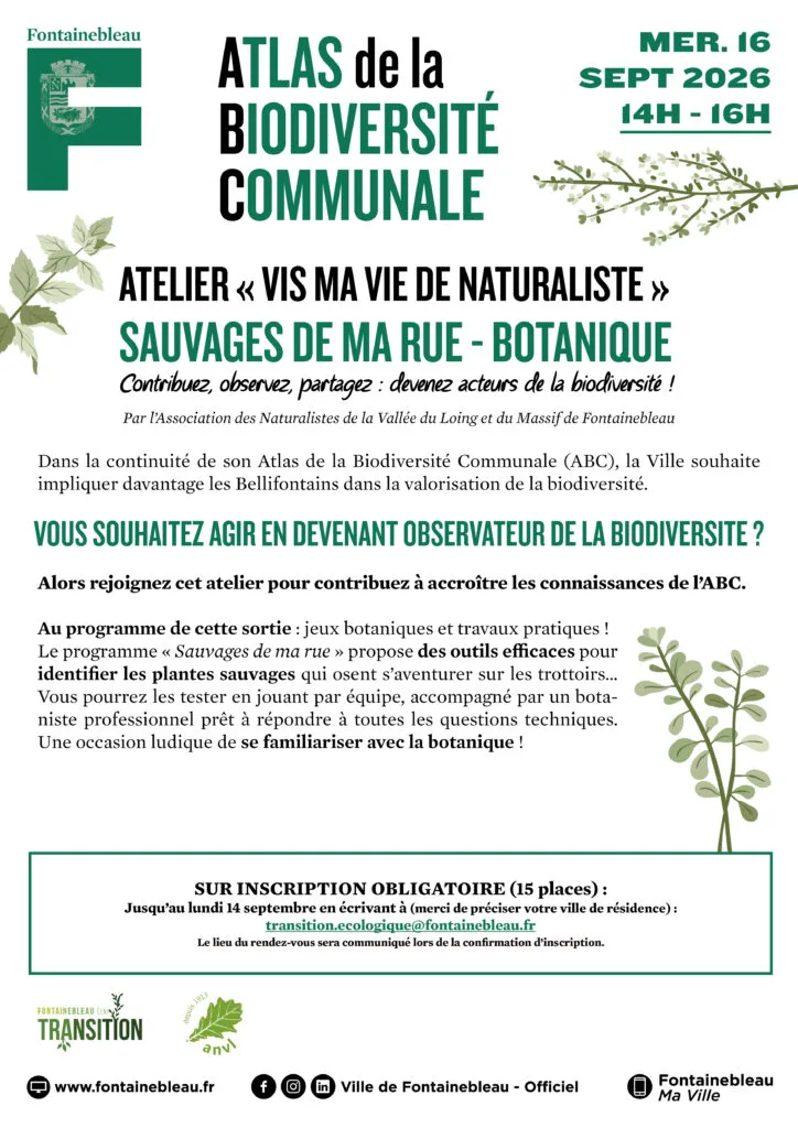 Affiche de l'atelier Sauvages de ma rue, sortie botanique à Fontainebleau le 16 septembre 2026