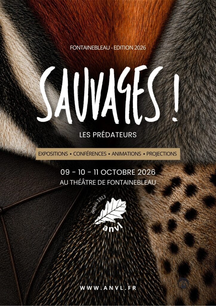 Affiche de Sauvages, week-end nature de l ANVL au Theatre municipal de Fontainebleau