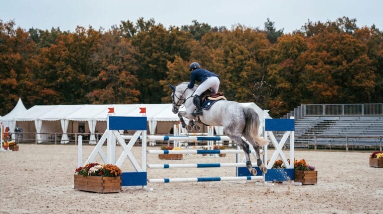A grey horse clearing an oxer during a show jumping competition at the Grand Parquet in Fontainebleau