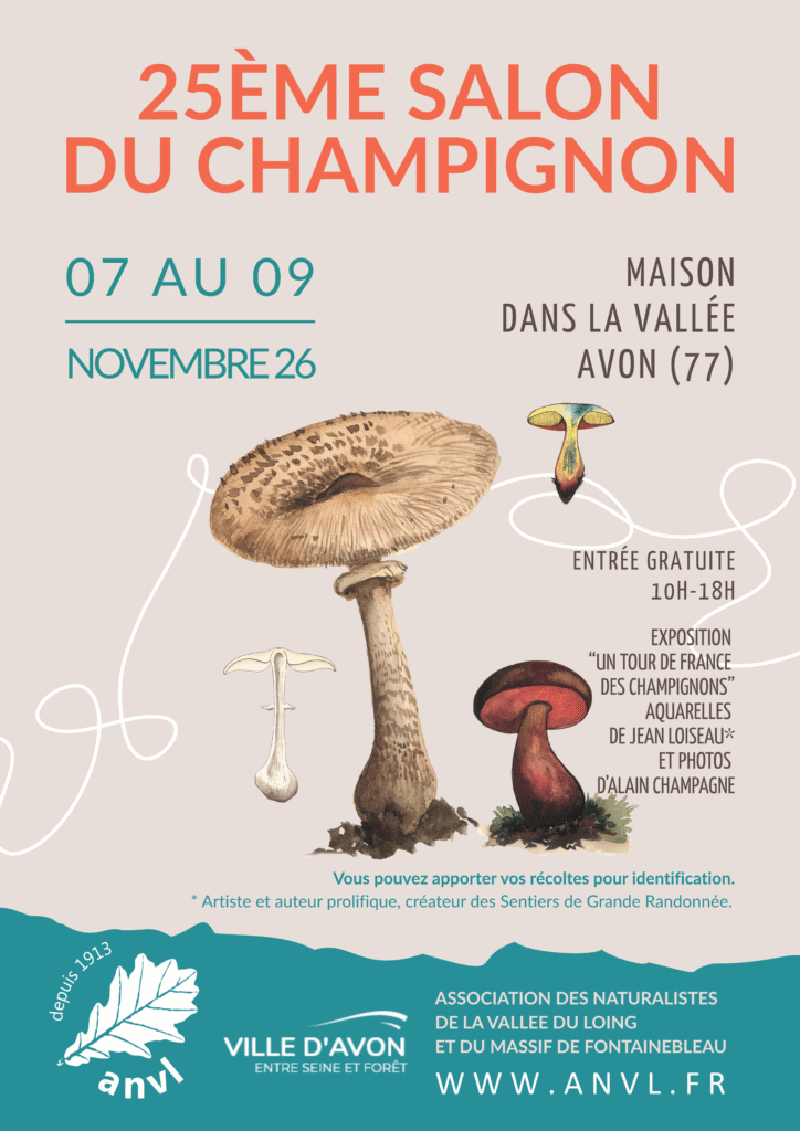 Plakat zur 25. Pilzmesse der ANVL im „Maison dans la Vallée d’Avon“, November 2026